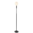 Tala Poise Adjustable Floor Lamp Graphite Supply