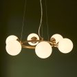 Amos Crib 6 Light Circular Chandelier Brushed Brass Hot on Sale