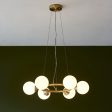 Amos Crib 6 Light Circular Chandelier Brushed Brass Hot on Sale