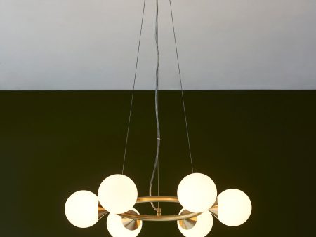 Amos Crib 6 Light Circular Chandelier Brushed Brass Hot on Sale