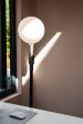 Tala Poise Adjustable Floor Lamp Graphite Supply