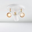 Endon Gull 3 Arm Spotlight Matt White & Satin Brass Fashion